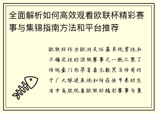全面解析如何高效观看欧联杯精彩赛事与集锦指南方法和平台推荐 全面解析如何高效观看欧联杯精彩赛事与集锦指南方法和平台推荐
